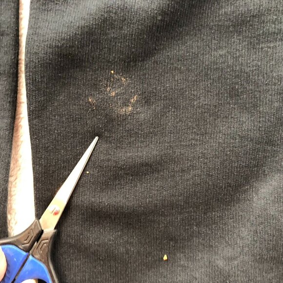 Fruit Of The Loom Men Sweatshirt Size Crewneck Long Sleeve Pullover Black Casual - Picture 11 of 13